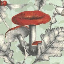 Forest Mushrooms Holiday Print Paper ~ Tassotti 